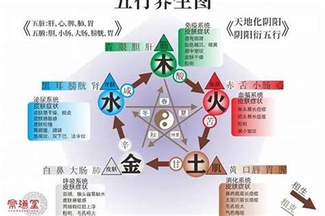 五行木旺缺火